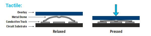 Tactile membrane switch construction